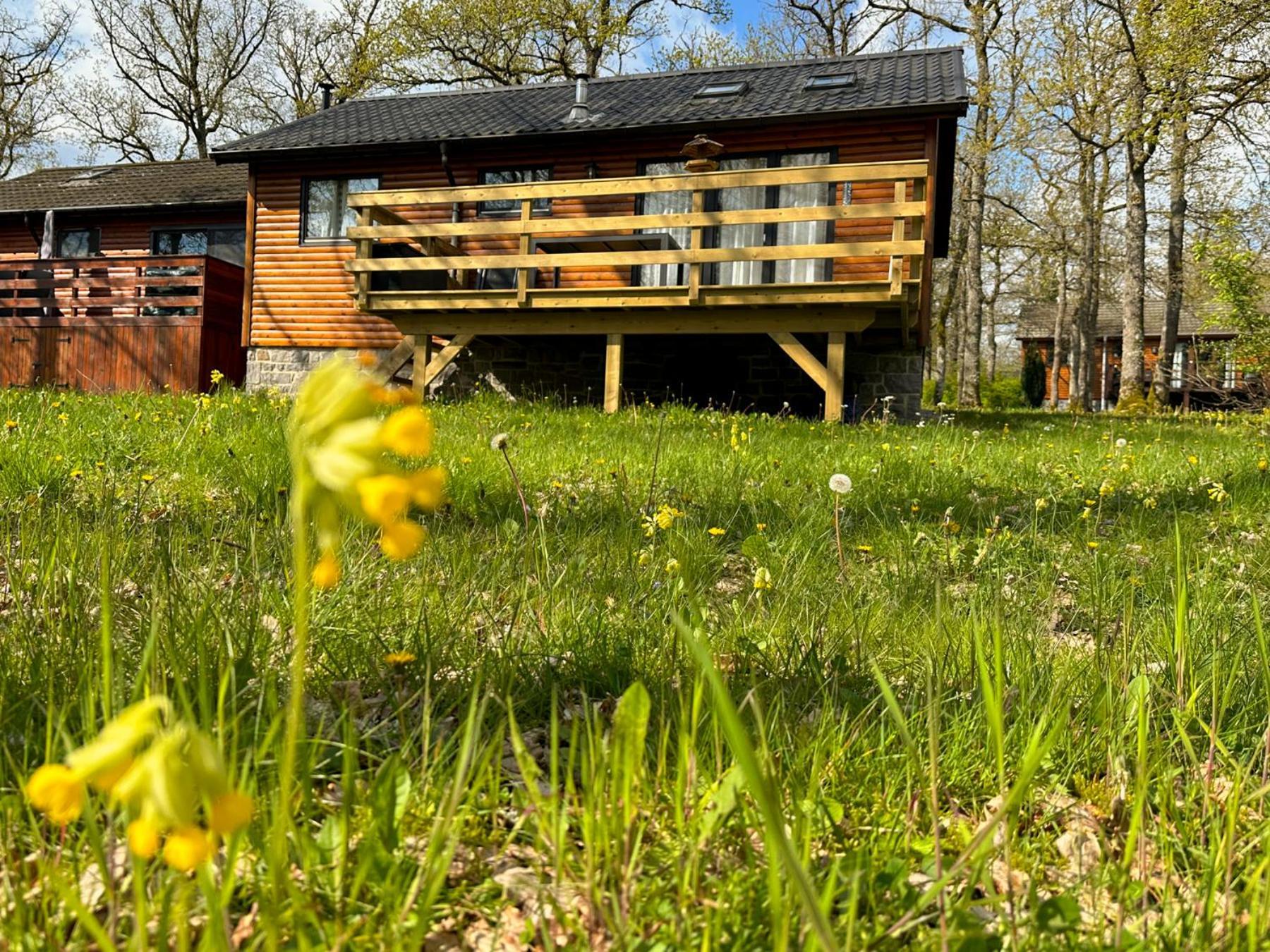 South Soul Cottage Somme-Leuze Extérieur photo